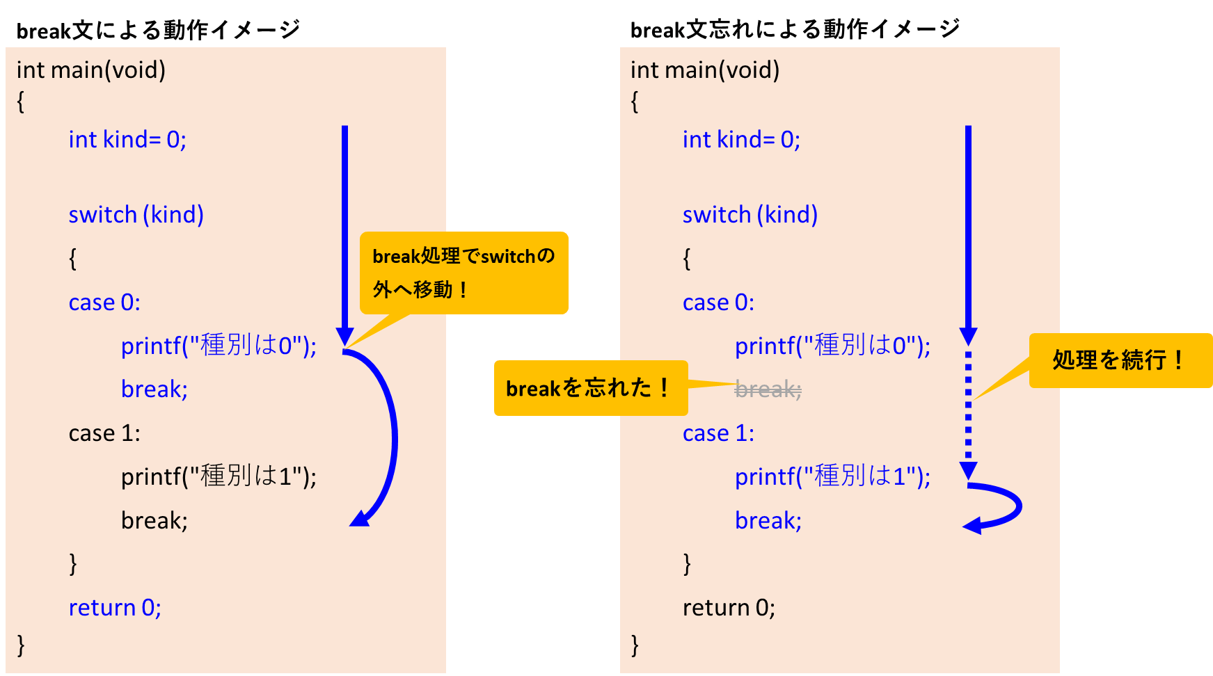 C言語 Switch 使い方を図解 どこに進むか 枝分かれの道