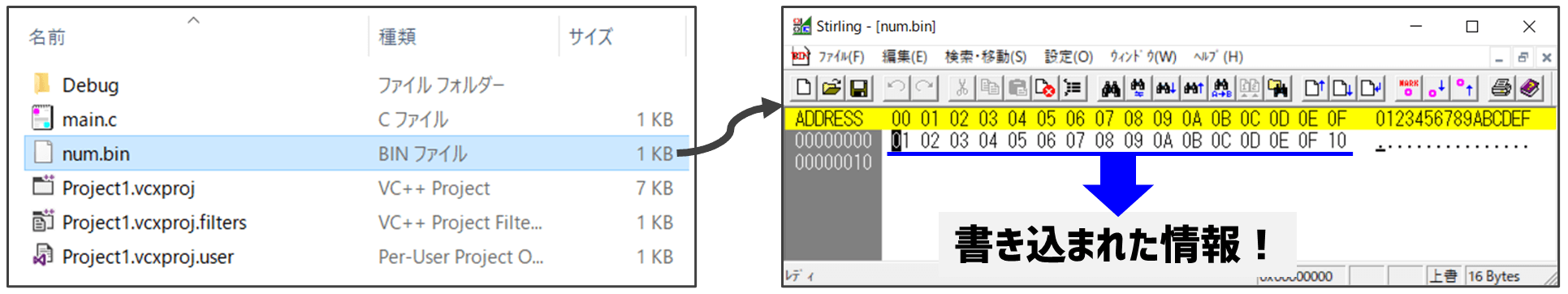 C言語 Fread Fwrite バイナリファイルの書き込み 読み込み